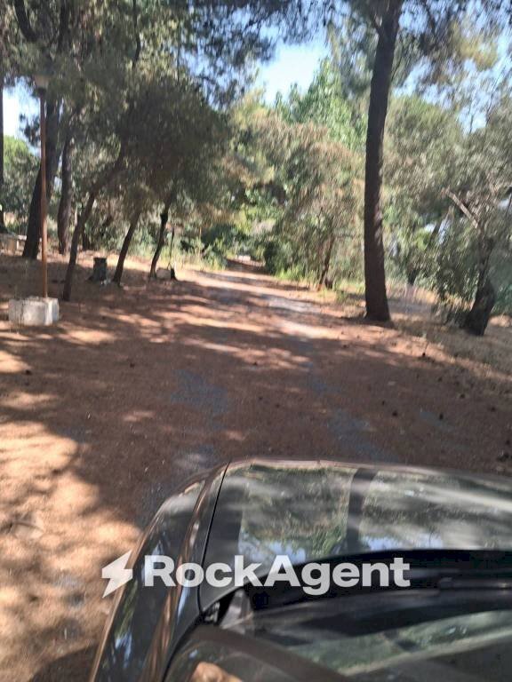 Zona - Stabilimento balneare strada Statale 106 Jonica, Corigliano-Rossano - foto 3