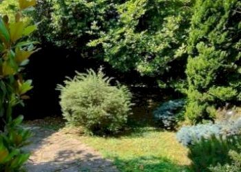 Giardino - Apartment via Pezzi, 25, Capriate San Gervasio - photo 28