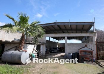 Terreno - Villa via Mesagne, San Donaci - photo 23
