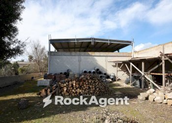 Terreno - Villa via Mesagne, San Donaci - photo 24