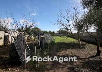 Terreno - Villa via Mesagne, San Donaci - photo 25