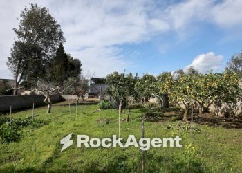 Terreno - Villa via Mesagne, San Donaci - photo 27