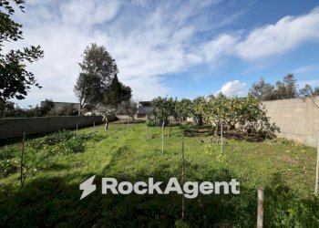 Terreno - Villa via Mesagne, San Donaci - photo 28