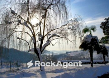 Zona - Villa SP72, 24, Vignale Monferrato - foto 40