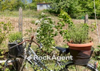 Terreno - Villa strada Provinciale Mammianese, 403, Pescia - photo 30