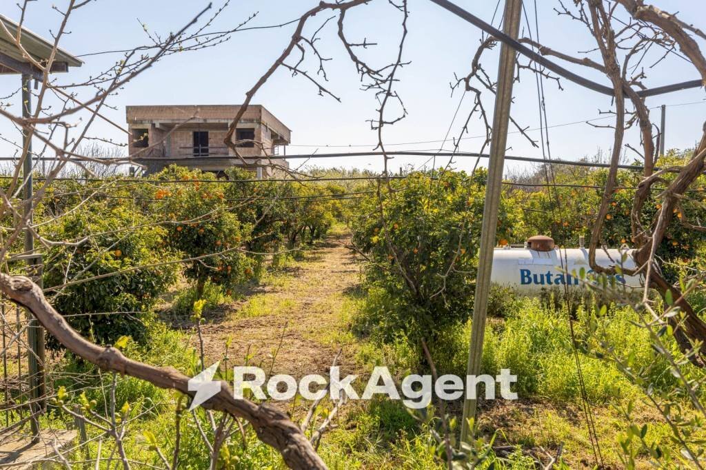 Terreno - Villa strada Provinciale 107, Giovinazzo - photo 3