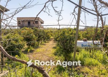 Terreno - Villa strada Provinciale 107, Giovinazzo - photo 3