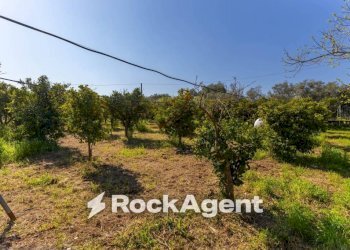 Terreno - Villa strada Provinciale 107, Giovinazzo - photo 7