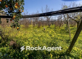 Terreno - Villa strada Provinciale 107, Giovinazzo - photo 20
