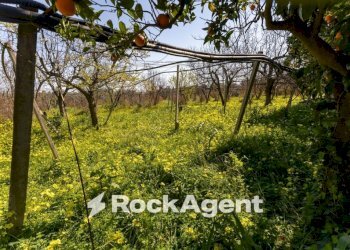 Terreno - Villa strada Provinciale 107, Giovinazzo - photo 35