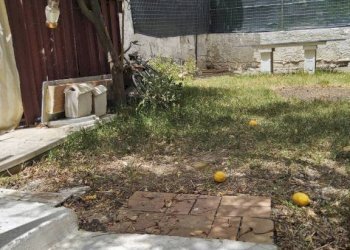 Giardino - Casa indipendente largo Cappellini, Gioiosa Ionica - foto 3
