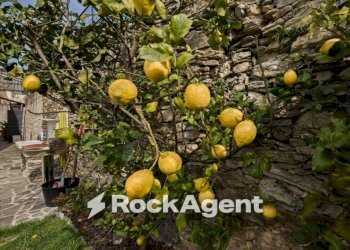 Giardino - Three-room apartment Frazione San Bartolomeo, Sori - photo 31