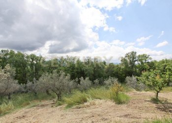 campo 4 web - Casale Via Santa vittoria, Monteleone Sabino - photo 16