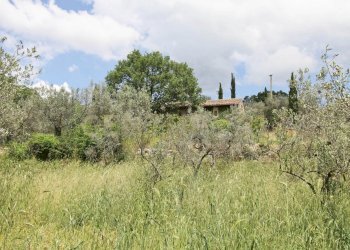 campo web - Casale Via Santa vittoria, Monteleone Sabino - photo 17