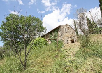 campo 3 web - Casale Via Santa vittoria, Monteleone Sabino - photo 21
