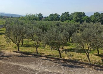 25.jpeg - Independent house Via Cese I 57, Puglianello - photo 26