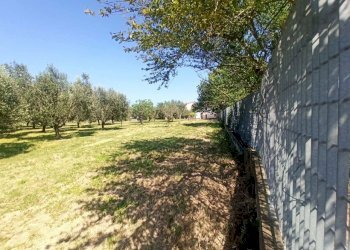 57.jpeg - Independent house Via Cese I 57, Puglianello - photo 29