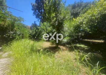 Villa Stradella - photo 9