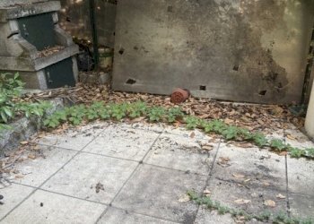 Independent house Ravenna (neighborhood San Biagio) - photo 7