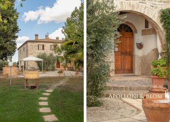 Casale SP 14, 56, Montalcino - foto 8
