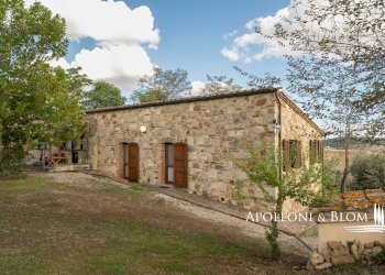 Casale SP 14, 56, Montalcino - photo 30