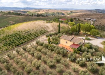 Casale SP 14, 56, Montalcino - photo 31