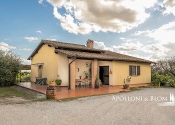 Casale SP 14, 56, Montalcino - photo 33