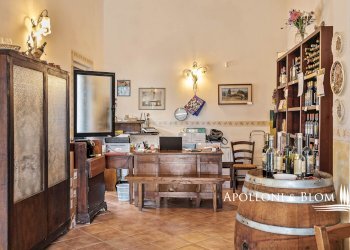 Casale SP 14, 56, Montalcino - photo 35