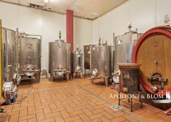 Casale SP 14, 56, Montalcino - photo 36