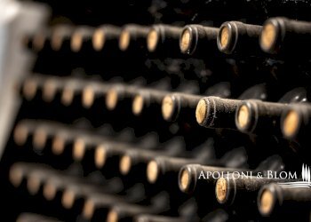 Casale SP 14, 56, Montalcino - photo 37