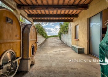 Casale SP 14, 56, Montalcino - photo 38