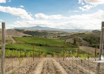 Casale SP 14, 56, Montalcino - photo 43