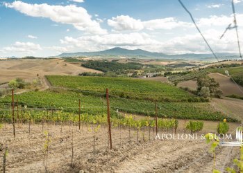 Casale SP 14, 56, Montalcino - photo 44