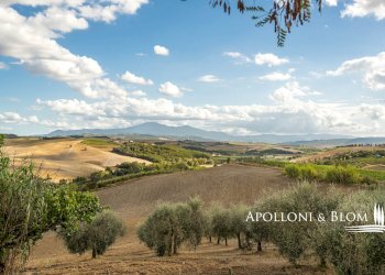 Casale SP 14, 56, Montalcino - photo 45