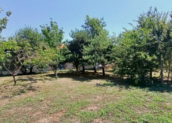 Casa indipendente REGIONE PICCOLO BOGLIOLI, Vesime - foto 15