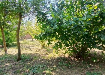 Casa indipendente REGIONE PICCOLO BOGLIOLI, Vesime - foto 16
