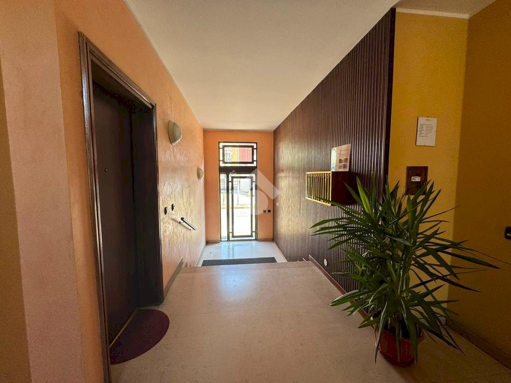 Three-room apartment Viale giuseppe giuliano allegra, Novara - photo 3