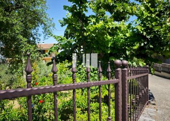 Foto 4 - Villa Contrada Santa Croce
14, Notaresco - photo 4