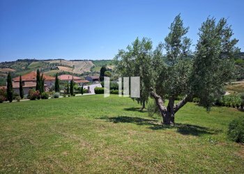 Foto 9 - Villa Contrada Santa Croce
 
30, Notaresco - photo 9