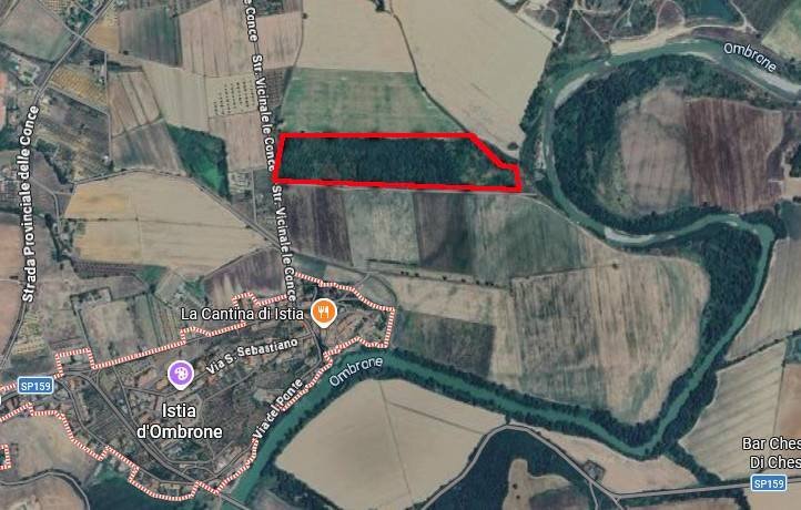 Foto 1 - Terreno agricolo Località Le Conce, Grosseto - foto 1