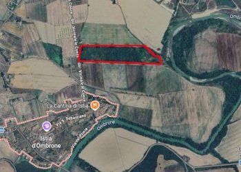 Foto 1 - Terreno agricolo Località Le Conce, Grosseto - foto 1