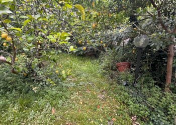 Foto 24 - Appartamento Via Riese
 
70, Genova - foto 24