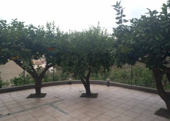 Terrazza - Casa semi indipendente VIA FRATELLI CAIROLI
2, Castelforte - foto 5