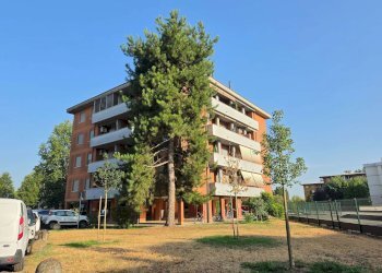 20260806_184008 - Three-room apartment via I Maggio, Tavazzano con Villavesco - photo 47