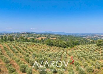 Vista - Villa strada Senza Nome, 6, Manciano - foto 22