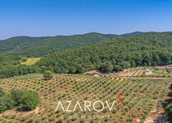 Vista - Villa strada Senza Nome, 6, Manciano - foto 25