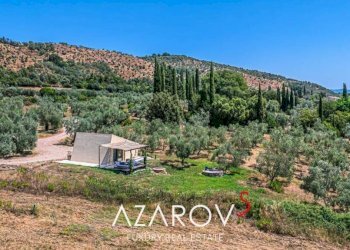 Terreno - Villa via dei Granai, 3, Campagnatico - foto 24