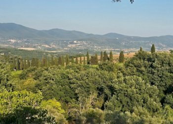CASALE ORVIETO (15).jpg - Casale Località Tordimonte snc, Orvieto - foto 10