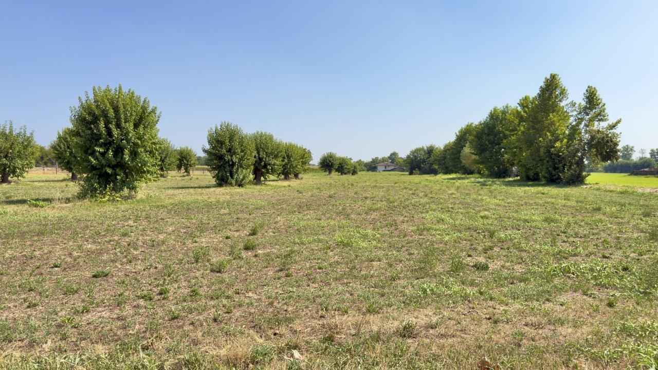 IMG_8032 - Agricultural land Via San Francesco D'Assisi 40, Borgosatollo - photo 2