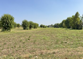 IMG_8032 - Agricultural land Via San Francesco D'Assisi 40, Borgosatollo - photo 2